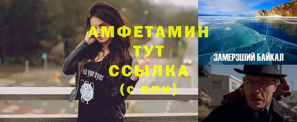 индика Белокуриха