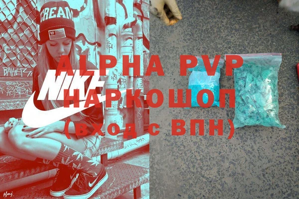 индика Белокуриха