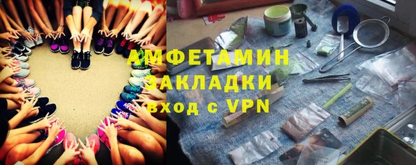 индика Белокуриха