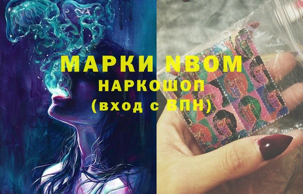 индика Белокуриха