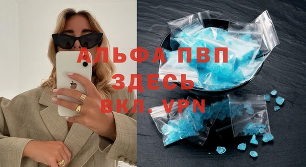 индика Белокуриха