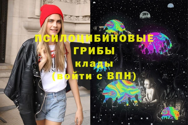 индика Белокуриха