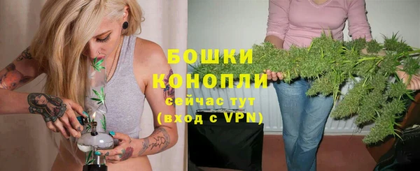 индика Белокуриха